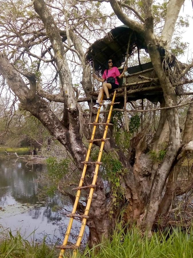 شقة دامبولا  في Family Nest المظهر الخارجي الصورة